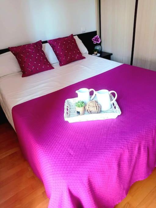 Acogedor Apartamento Con Piscina Y Garaje Lägenhet Huesca Exteriör bild